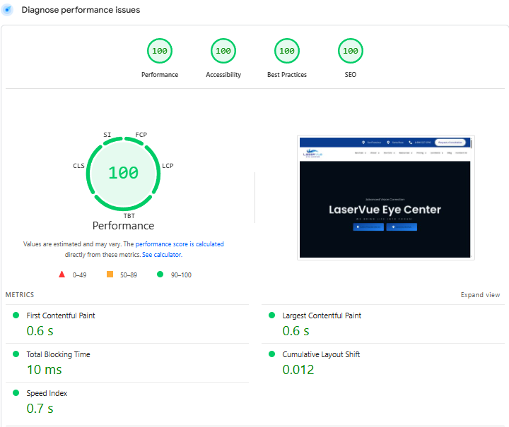 Perfect 100/100 PageSpeed Insights score